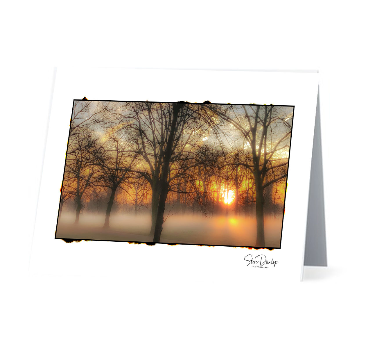 Sunrise in early morning mist. Greeting or Notecard. Photo by Steve Dunlop