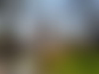 The Pandemic as a Liminal Space