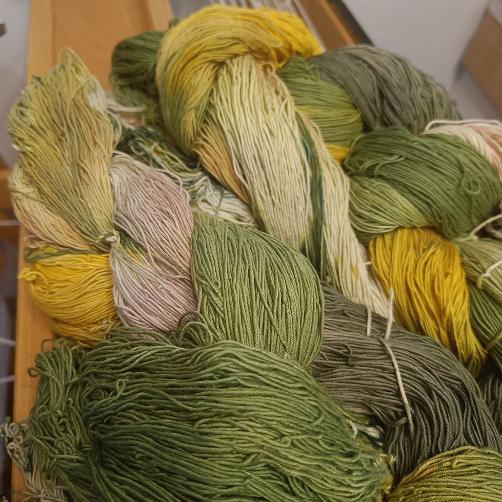 IMG20240623091119_01