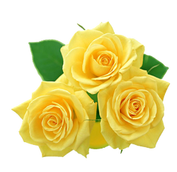 roses yellow