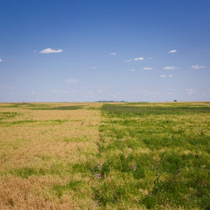 Biologicals for Drought