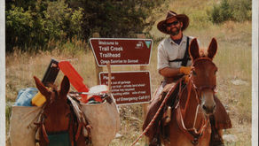Bringing Fire Back - A Conversation with Darrell Schulte