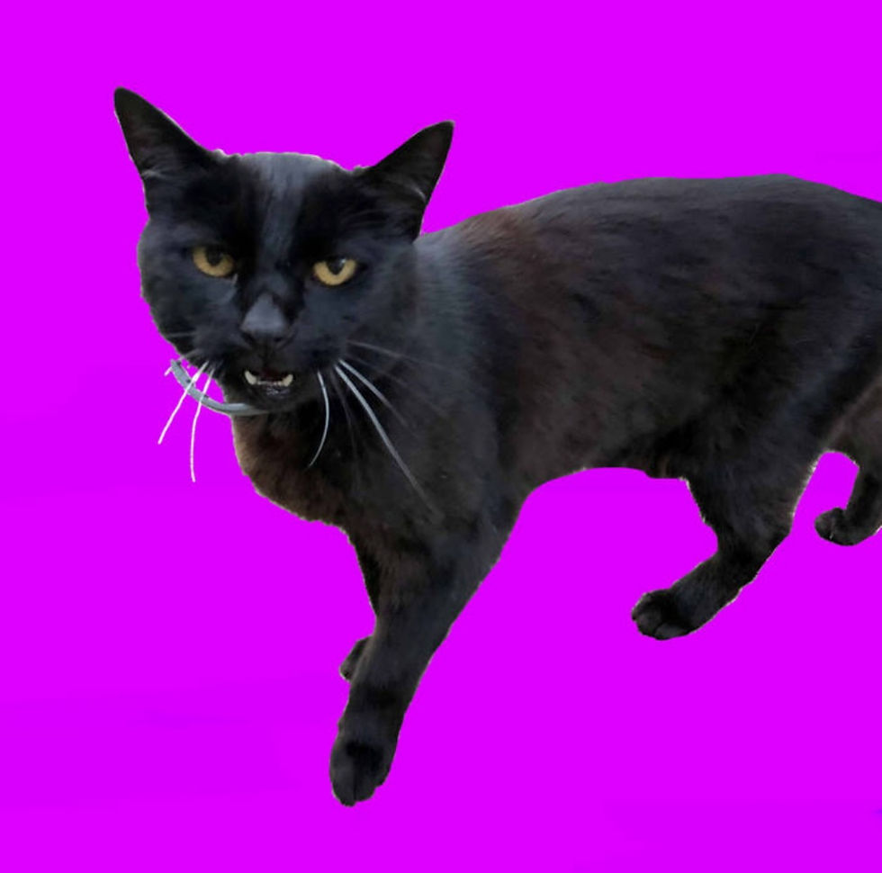 ree
