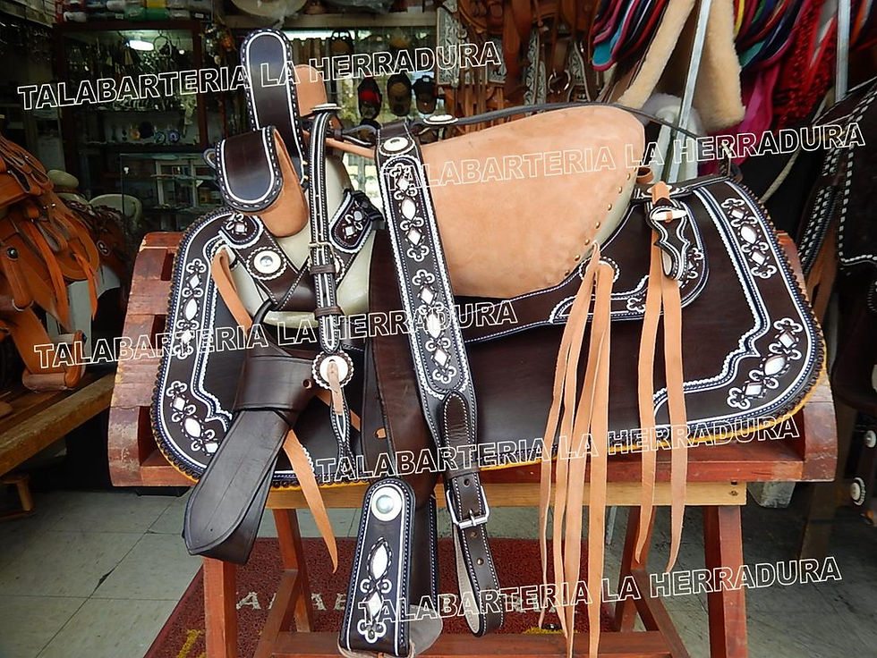 Miniatura: ALBARDAS CALADAS