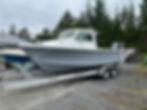 Fishing and cruising boat