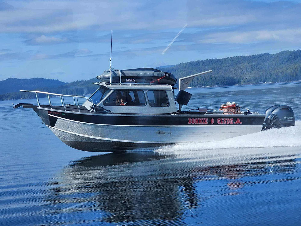 Fishing and cruising boat