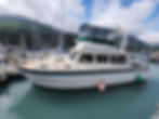 Fishing and cruising boat