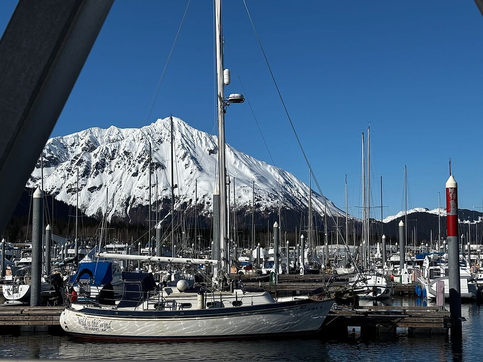 Fishing and cruising boat