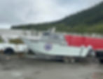 Fishing and cruising boat