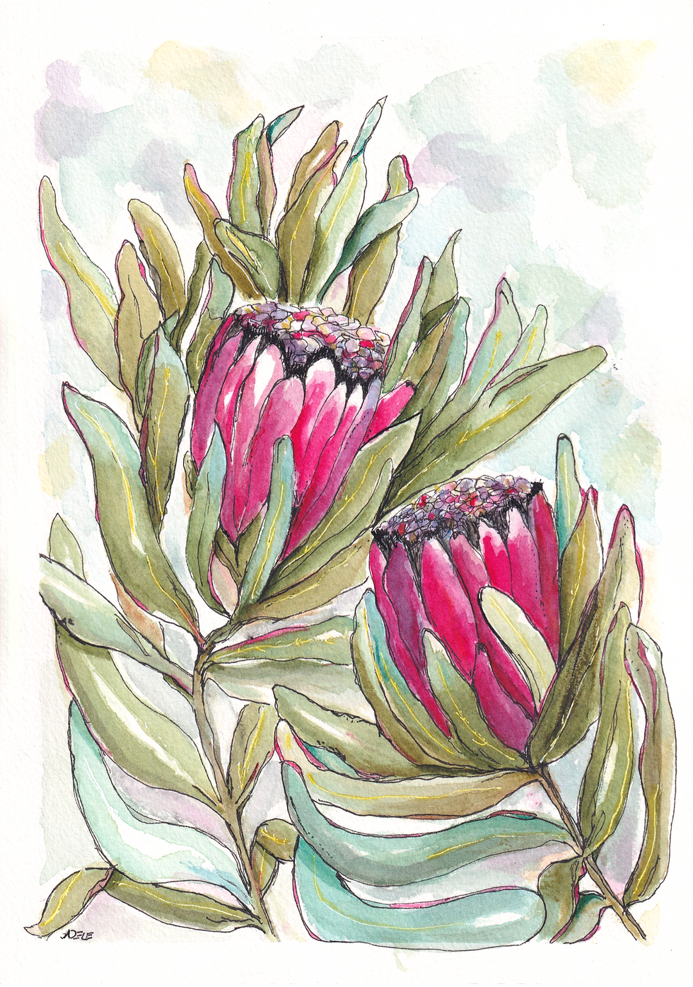 Protea Duo I
