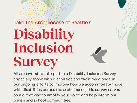 Disability Inclusion Survey