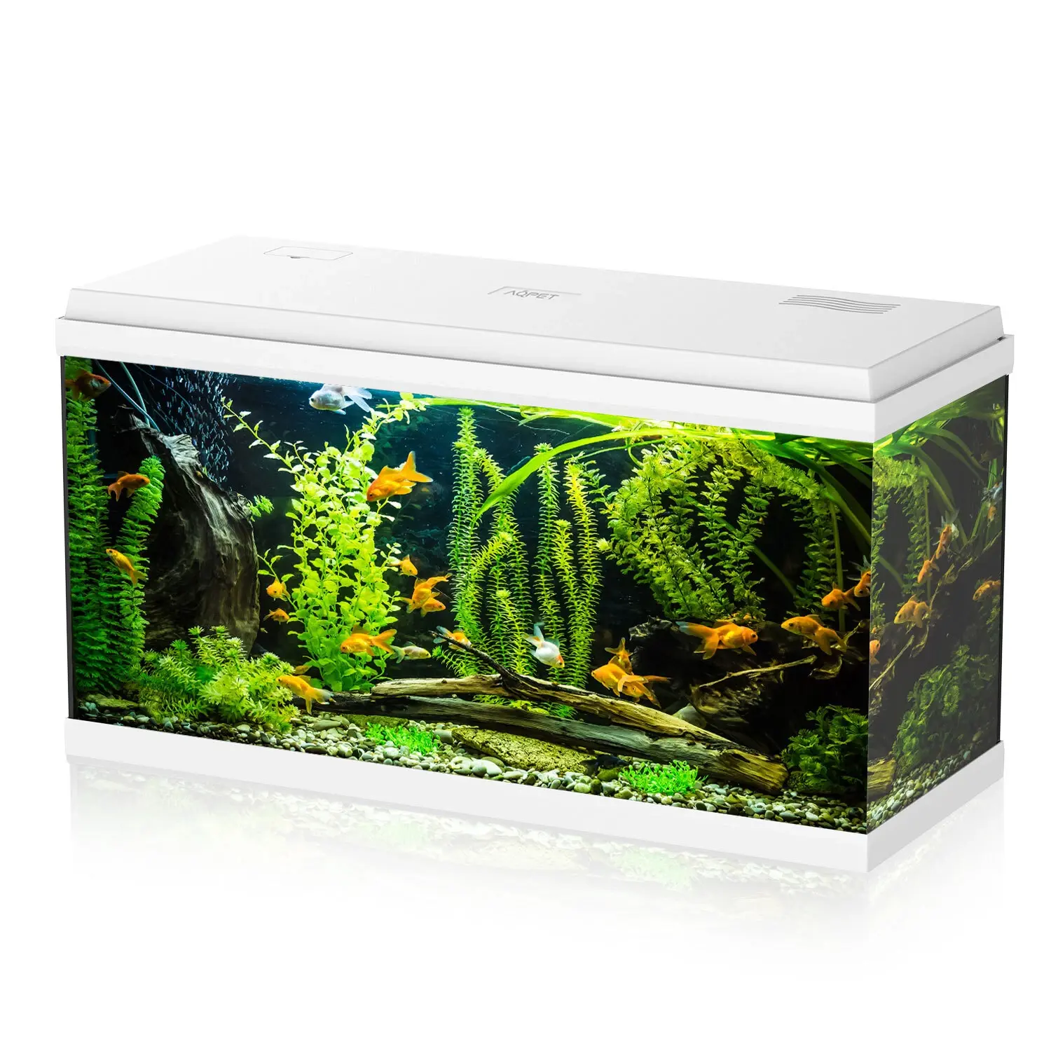AQPET ACQUARIO SIMPLY LED 100 BIANCO COMPLETO DOPPIA LUCE FILTRO E RISCALDATORE