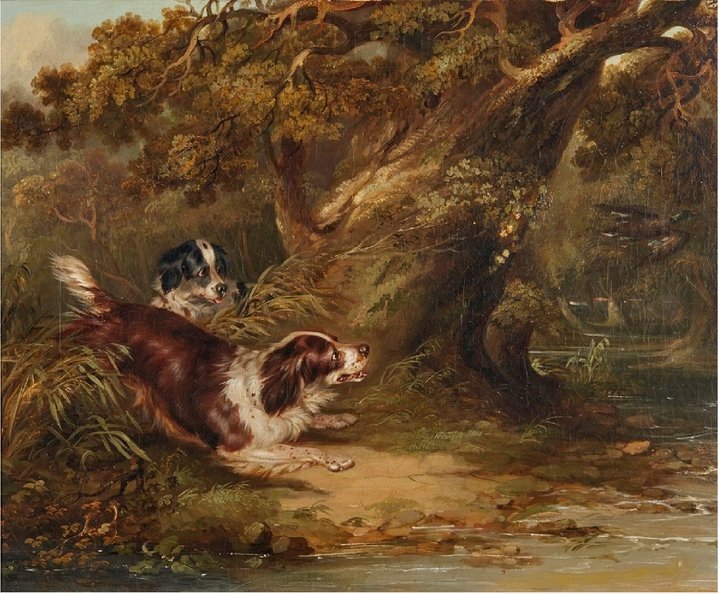 Spaniels putting up Duck George Armfield 1808 - 1893
