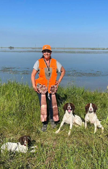 Random Ribbons | Essa