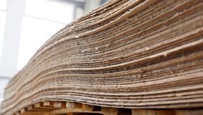 Carreira: desafios e tendências no setor de celulose abrangem falta de qualificação e novas tecnologias