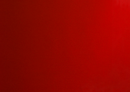 Untitled design(29).png