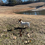 IMG_0673.jpeg