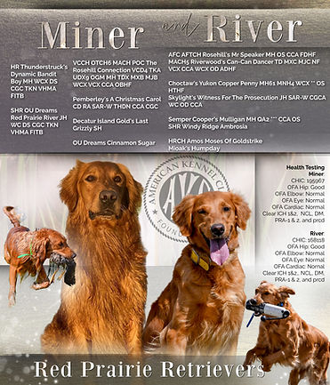 MinerRiver.jpg