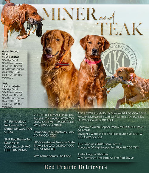 MinerTeak (8).jpg