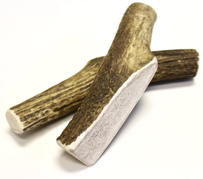 antler chews