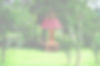 Hobbit Hole_edited.jpg