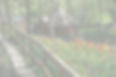 Secret Garden Walkway_edited.jpg
