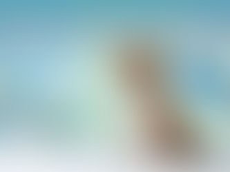 Um cachorro jovem e saudável (raça indefinida, pelagem curta marrom e branco, expressão alegre e confiante) sentado em um fundo clean e moderno. Ao lado dele, uma mão de veterinário usando luva azul segurando uma pinça específica para carrapatos removendo um carrapato da pele do cão de forma segura e higiênica. O carrapato está visível mas estilizado e limpo