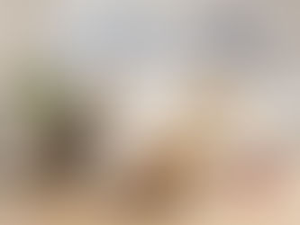 o que gato pode comer