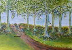 THROUGH THE BEECHES TO THE BEACH