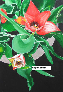 2013 SPRING PROJECT - Placed 2nd
