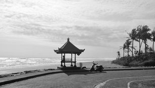 Tropical beach scene, somebody looking at the ocean