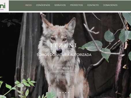 ¡Visita la nueva página web de Soluciones Ambientales Itzeni!
