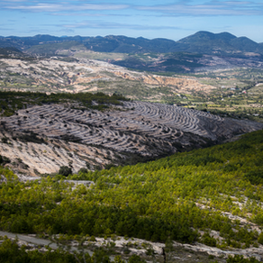 ¿Qué es el manejo forestal sustentable?