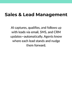 AI Sales and lead management