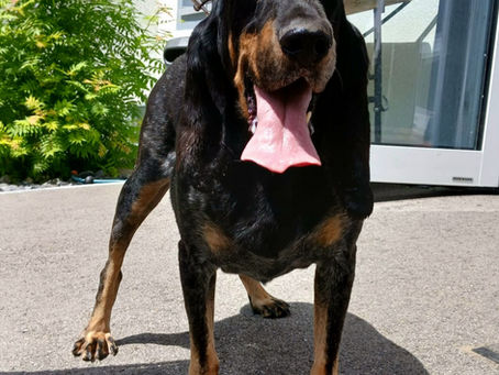 Benny