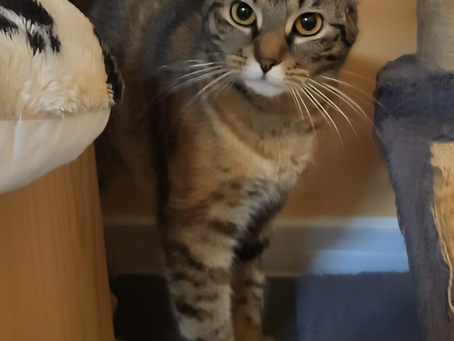 Lucy