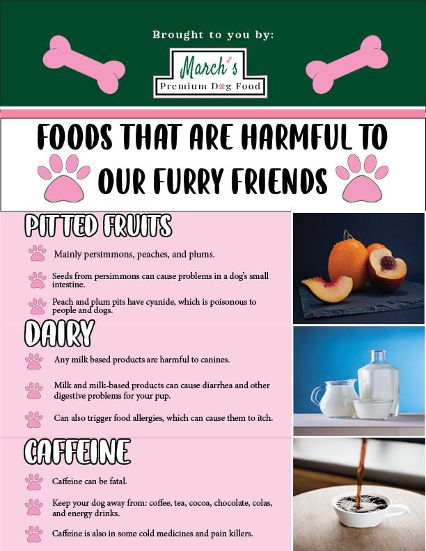 March'sINFOGRAPHIC FINAL