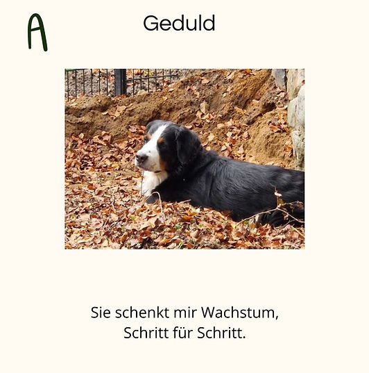 Geduld.jpg