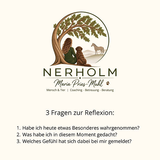 Wahrnehmung Rück.jpg