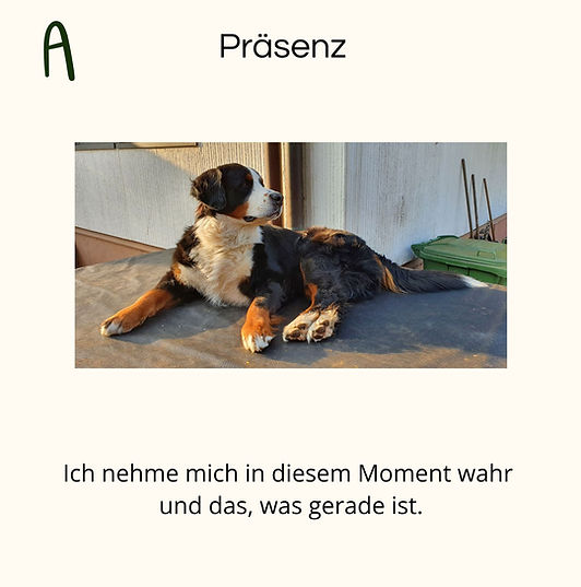 Präsenz.jpg