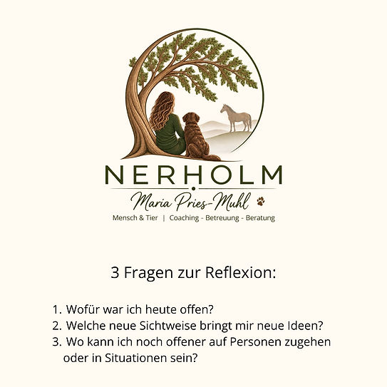 Offenheit Rück.jpg