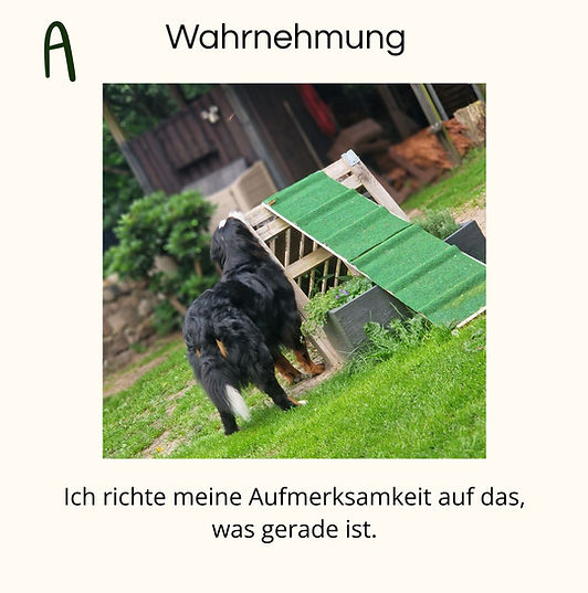 Wahrnehmung.jpg