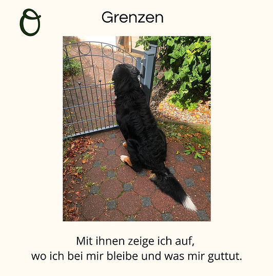 Grenzen.jpg