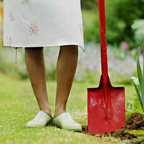 С ГРИЖА ЗА СТАВИТЕ.
ЖИВЕЙ В ДВИЖЕНИЕ!
