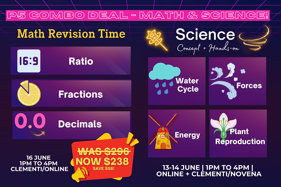 Science Revision Program Math And Science Revision