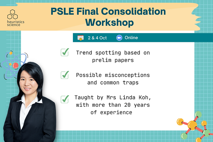 final consolidation (1).png