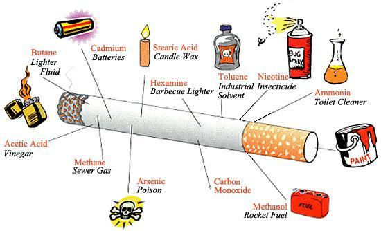 www.medicaldaily.com