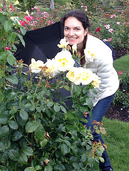 Portland Rose Garden.JPG