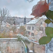 Newsletter #54 : Savez-vous tout ce que nous fêtons ?