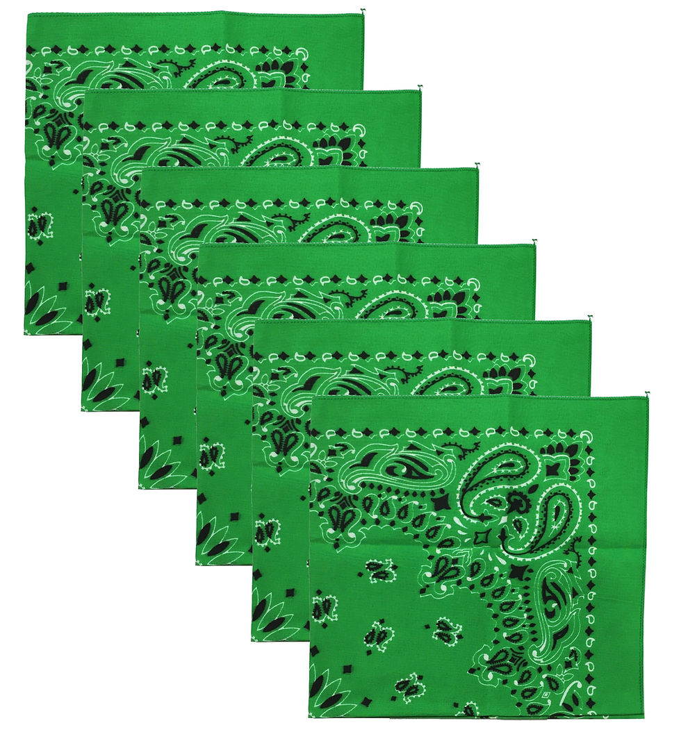 Thumbnail: USA Made Military Army Trainmen Paisley 22 / Hav A Hank Paisley Bandana